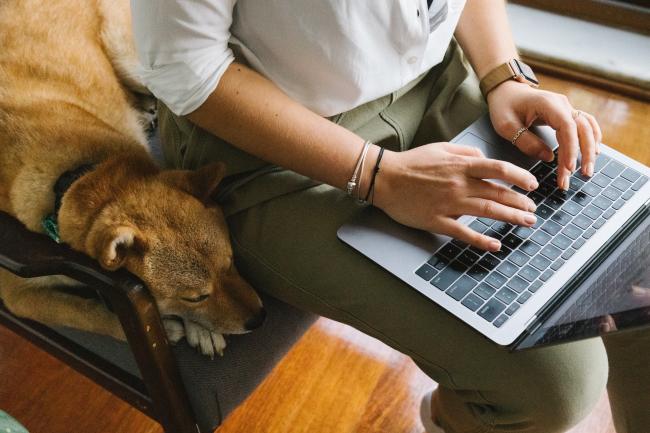 Dog with owner working from home